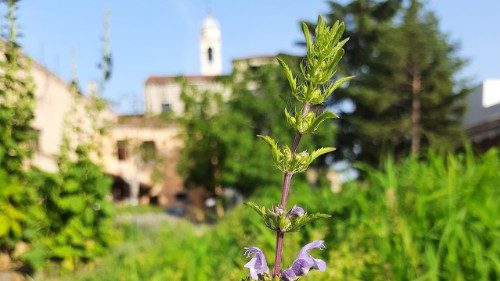 Bienal de Venecia: en el jard&iacute;n de Hildegarda para redescubrir la escucha