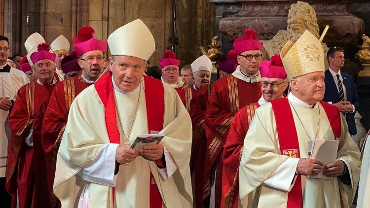 Na ingresie byli obecni kardynałowie Sch&ouml;nborn z Wiednia i N&eacute;met z Belgradu.