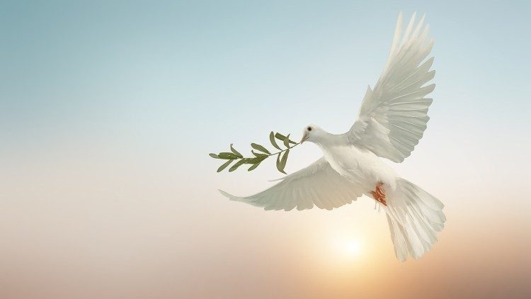 Una colomba, simbolo di pace.