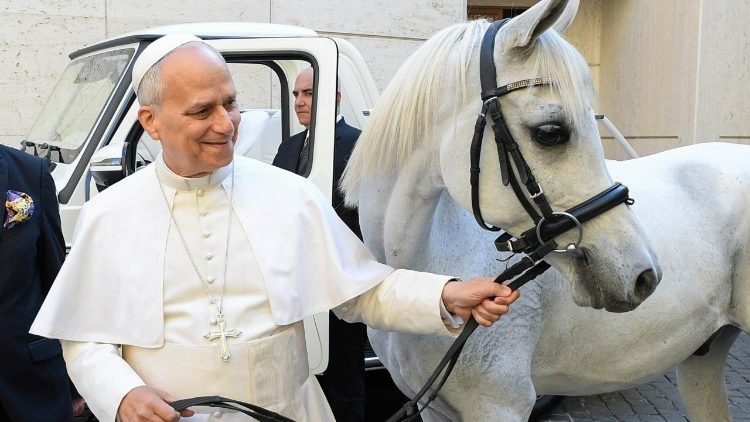 Papa Leone XIV e un cavallo donato da un allevatore polacco (@Vatican Media).
