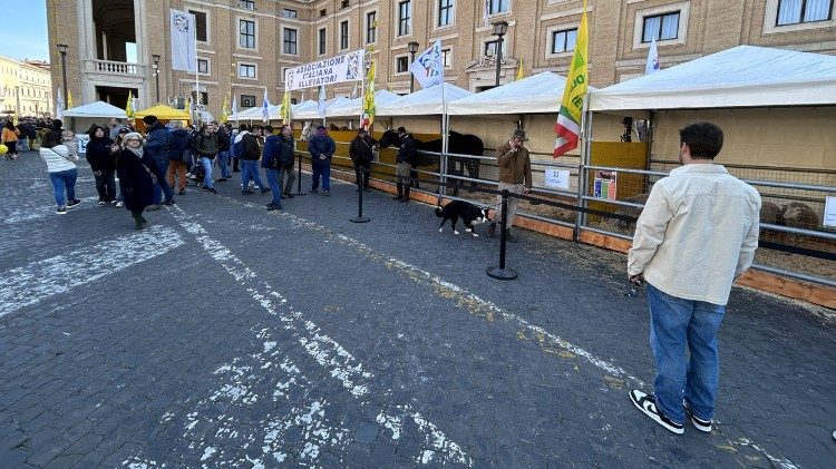 Le gabbie degli animali allestita in piazza Pio XII per la benedizione in occasione della memoria liturgica di Sant'Antonio Abate. 