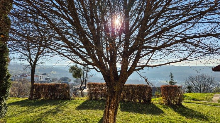 Napsütés a téli ágak között (Fotó: Ft. Fülöp Zsombor)