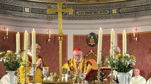 2026.01.26 Kardinali Pietro Parolin- Denmark.