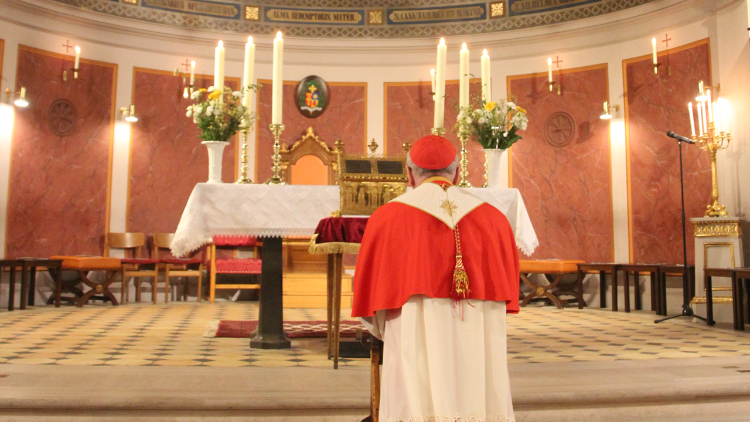Una immagine della visita del cardinale Parolin in Danimarca