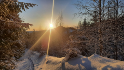 Havas erdei ösvény (Fotó: Molnár József)