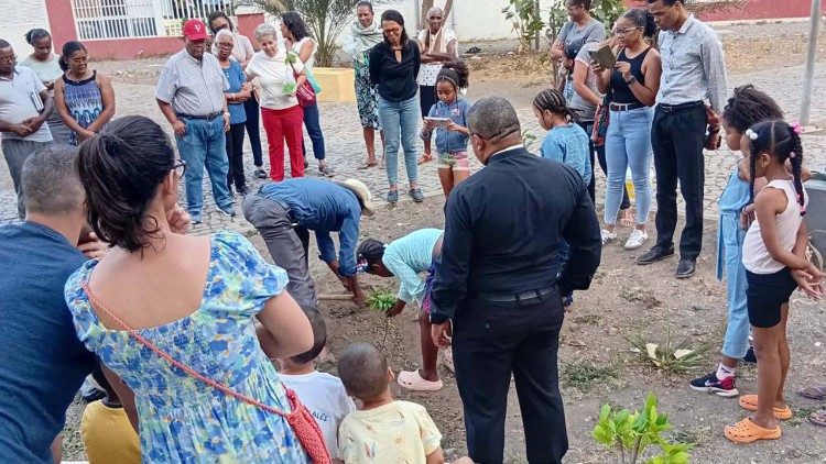 Planta&ccedil;&atilde;o de &aacute;rvores de fruto