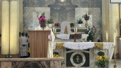 Prof. Dr. Obiora Ike 