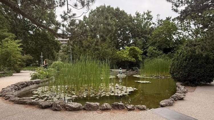 Margitsziget