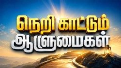 நெறி காட்டும் ஆளுமைகள்