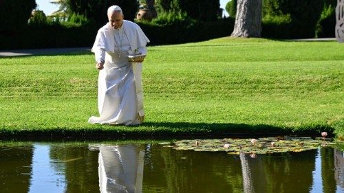 Pontifikatsjubil&auml;um: Reisen, Friedensinitiativen und Hirte der Weltkirche