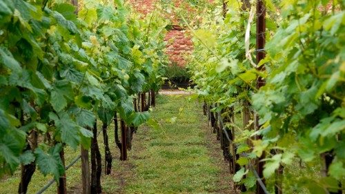 Biennale di Venezia, nel giardino di Ildegarda per riscoprire l'ascolto