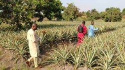 Guinea, il progetto ProJeune Guinée 