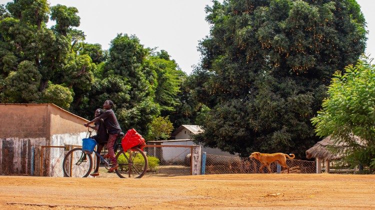 Guinea, il progetto ProJeune Guin&eacute;e 