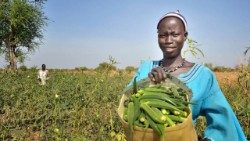Catholic religious congregation in Solidarity with South Sudan - supporting agriculture