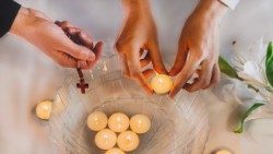 Giáo dân và giáo sĩ hiệp nhất phát triển Vườn nho Raken ở Nga và Kazakistan