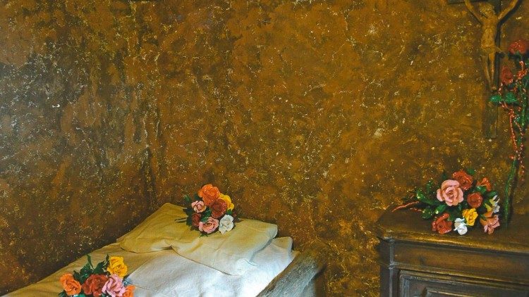 Alcune delle rose in plastica realizzate da un detenuto della casa di reclusione di Spoleto