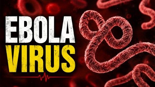 UNICEF: Ebola może dotknąć coraz więcej dzieci w Kongu