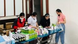 The activities of the Sisters of the Lovers of the Holy Cross of Hanoi
