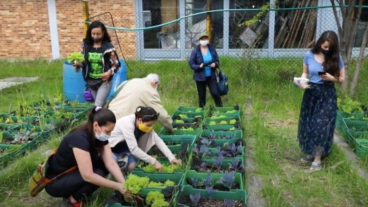 Un esempio di orto urbano a Bogotà