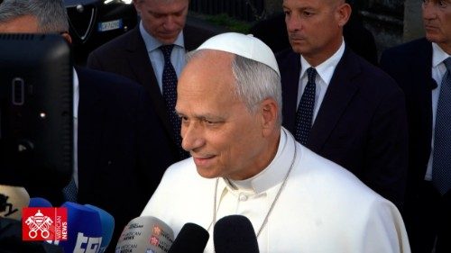 Il Papa: aiutare il popolo di Gaza che soffre e rispettare i diritti umani