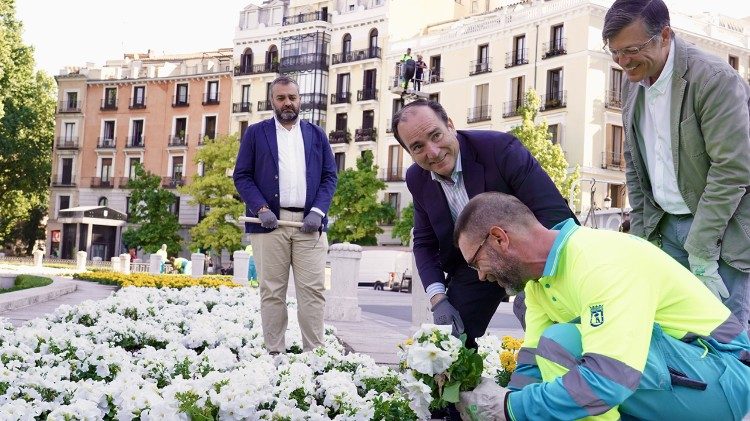  &Uacute;ltimos trabajos antes de la llegada de Le&oacute;n XIV a Espa&ntilde;a.