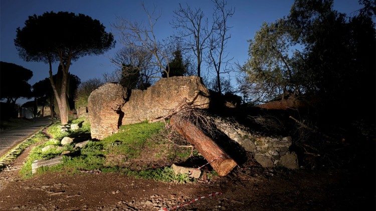 Umgest&uuml;rzte Pinie im r&ouml;mischen Caffarella-Park