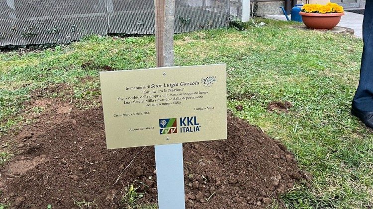 La piantumazione di un albero durante la cerimonia per suor Luigia agli Istituti Clinici Zucchi di Carate Brianza