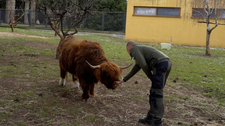 La ferme du Borgo Laudato si'