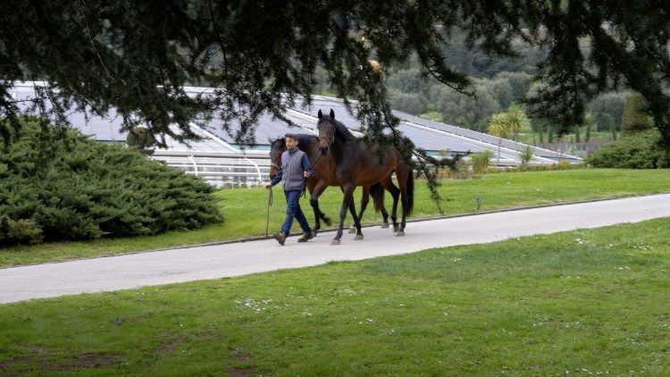 Il Borgo Laudato si'