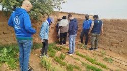 Uno dei progetti agricoli portati avanti con il Pam (foto: Oxfam)