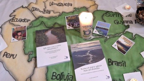 Radiograf&iacute;a de la Iglesia Cat&oacute;lica en la Amazon&iacute;a: misi&oacute;n y horizonte sinodal