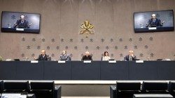 Họp báo giới thiệu tài liệu của Hàn lâm viện Tòa Thánh về Sự sống về việc cấy ghép nội tạng từ động vật sang người