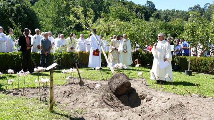 Gingoko Biloba Silva, símbolo escolhido pelos primeiros missionários espiritanos em Portugal - Lusofonias (Portugal)