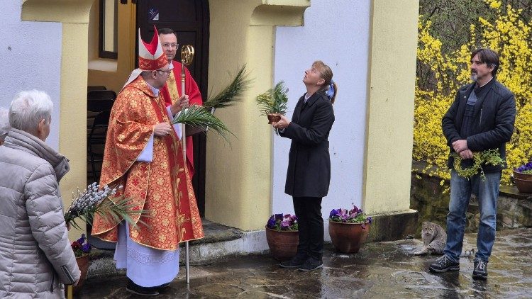 Връбница във Велико Търново